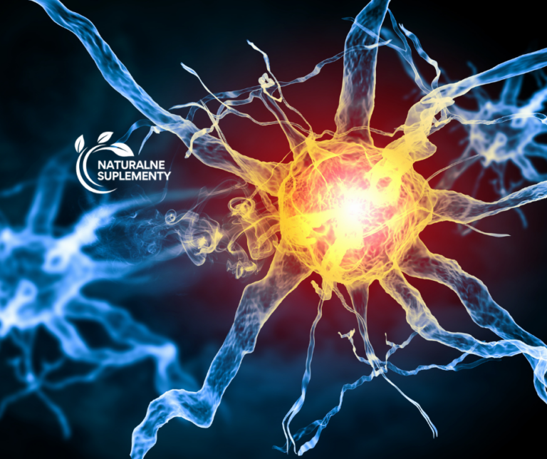 Pharmovit na układ nerwow